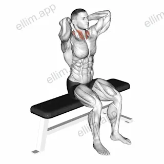 Seated Flexion And Extension Neck exercise targeting Neck and Sternocleidomastoid