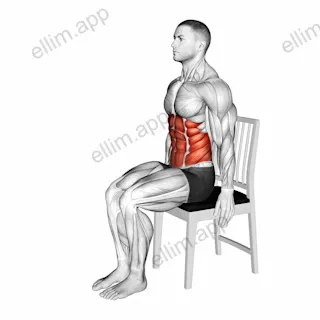 Seated Forward Bend Stretch on a Chair exercise targeting Stretching