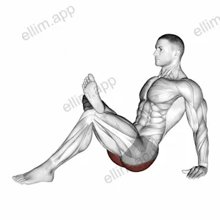 Seated Glute Stretch exercise targeting Hips and Gluteus Maximus