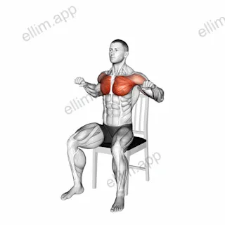 Seated Incline Chest Press on a Chair exercise targeting Chest