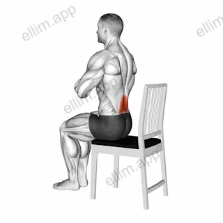 Seated Lean Back on a Chair exercise targeting Back