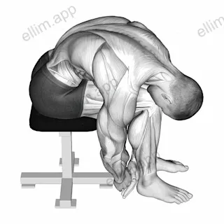 Seated Lower Trunk Extensor Lateral Flexor Stretch exercise targeting Back