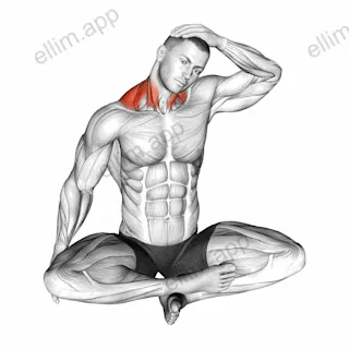 Seated Neck Side Stretch exercise targeting Stretching