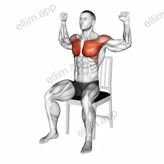 Seated Pec Dec on a Chair exercise targeting Chest
