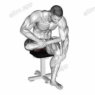 Seated Piriformis Stretch exercise targeting Hips and Gluteus Maximus