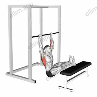 Seated Pull up (legs elevated) exercise targeting Back