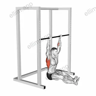 Seated Pull up exercise targeting Back
