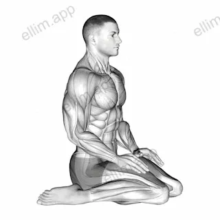 Seated Quadriceps Stretch exercise targeting Thighs