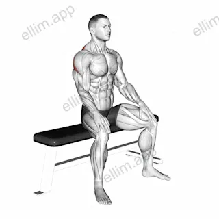 Seated Rhomboid Stretch exercise targeting Back