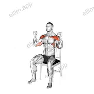 Seated Shoulder Press on a Chair exercise targeting Shoulders