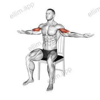 Seated Shoulder Tap on a Chair exercise targeting Upper Arms