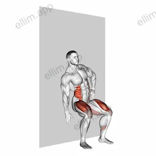 Seated Side Crunch (Wall) exercise targeting Waist and Obliques