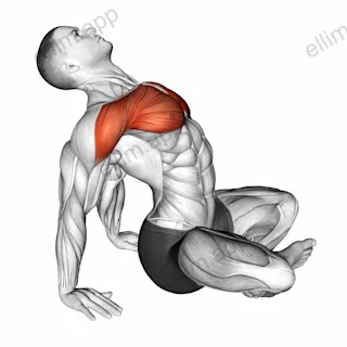 Seated Sky Look exercise targeting Chest and Deltoid Anterior