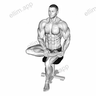 Seated Toe Extensor And Foot Everter Stretch exercise targeting Calves