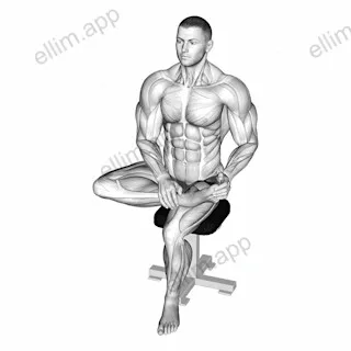 Seated Toe Extensor Stretch exercise targeting Calves