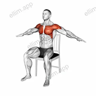 Seated Underhand Arm Circle on a Chair exercise targeting Shoulders