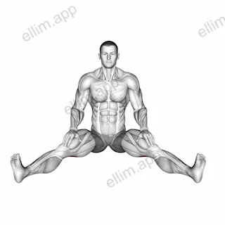 Seated Wide Angle Pose Sequence exercise targeting Thighs and Erector Spinae