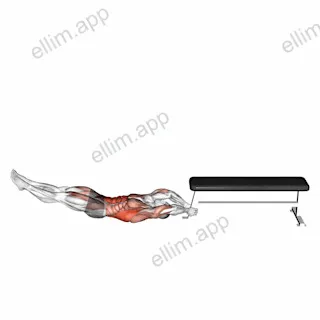 Self Assisted Inverted Pullover exercise targeting Latissimus Dorsi and Rectus Abdominis