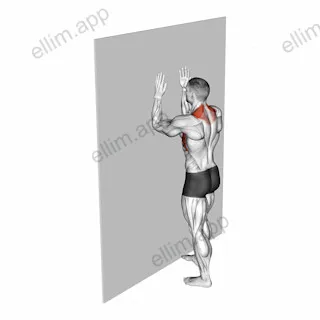 Serratus Wall Slide exercise targeting Back and Serratus Anterior