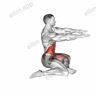 Shin Box Switch exercise targeting Stretching