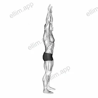 Shoulder Backbend Stretch exercise targeting Shoulders and Deltoid Anterior