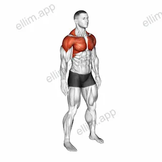 Shoulder Circle exercise targeting Back