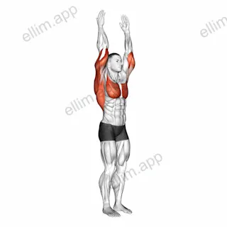 Shoulder - Extension exercise targeting Shoulders