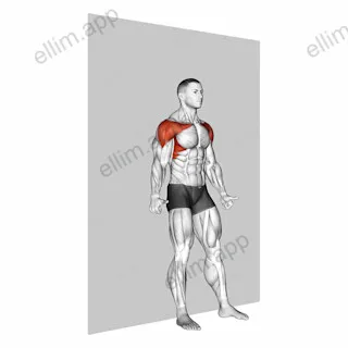 Shoulder Flexion Back to Wall exercise targeting Back