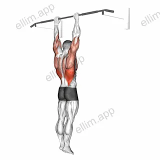 Shoulder Grip Pull-up exercise targeting Back and Latissimus Dorsi