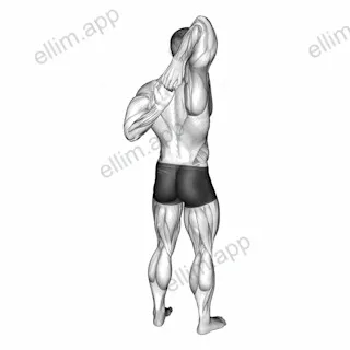 Shoulder Stretch Behind the Back exercise targeting Shoulders and Deltoid Posterior