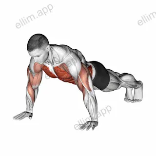 Shoulder Tap exercise targeting Obliques and Pectoralis Major Clavicular Head