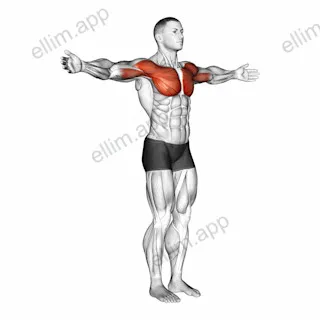 Shoulder - Transverse Flexion exercise targeting Shoulders