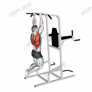 Shoulder Width Neutral Grip Pull-up exercise targeting Back