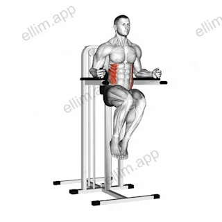 Side Hip (on parallel bars) exercise targeting Waist and Obliques