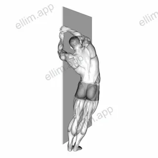Side Lat Stretch exercise targeting Back