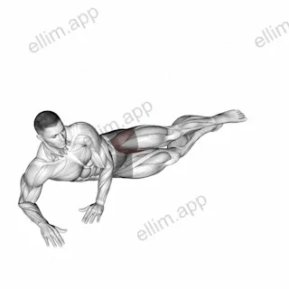 Side Lying Leg Circle exercise targeting Hips and Adductor Brevis