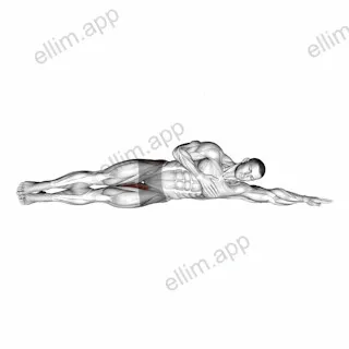 Side Lying Leg Raise exercise targeting Hips