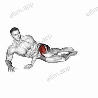 Side Lying Outward Knee Kick exercise targeting Hips and Gluteus Maximus