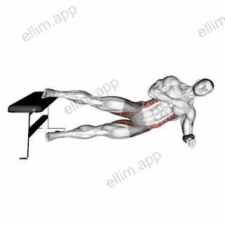Side Plank Hip Adduction exercise targeting Hips and Adductor Brevis