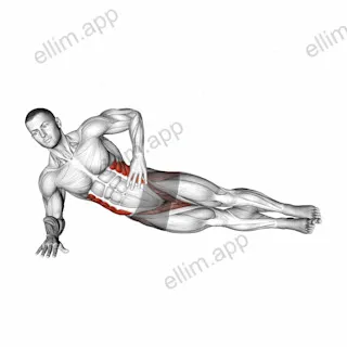 Side Plank Leg Lift (left) exercise targeting Waist