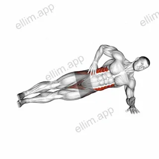 Side Plank Leg Lift exercise targeting Waist