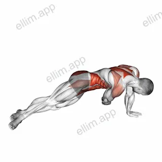 Side Plank Pull exercise targeting Waist
