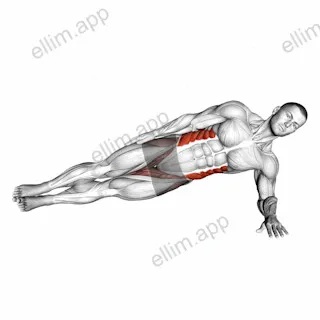 Side Plank exercise targeting Waist and Obliques