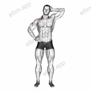 Side Push Neck Stretch exercise targeting Neck and Levator Scapulae