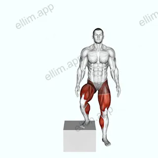 Side to Side Box Shuffle exercise targeting Plyometrics