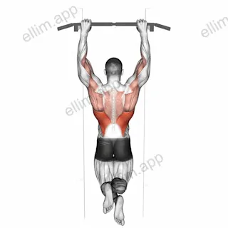 Side To Side Chin exercise targeting Back