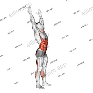 Side-to-Side Toe Touch exercise targeting Waist