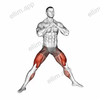 Side to Wide Squat exercise targeting Hips