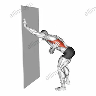Single Arm Lat Stretch against Wall exercise targeting Stretching