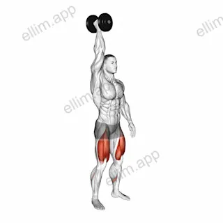 Single Arm Overhead Dumbbell Squat exercise targeting Thighs and Gluteus Maximus